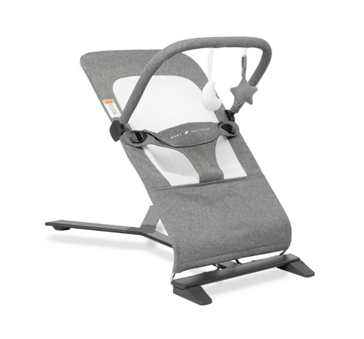 Shop Baby Delight Alpine Deluxe Portable Bouncer, Charcoal Tweed at GoodBuy Gear