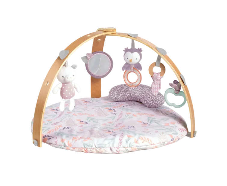 Shop Ingenuity Cozy Spot Reversible Activity Gym, Calla (Pink) at GoodBuy Gear