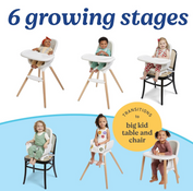 Shop Graco Table2Table LX 6-in-1 Highchair, Rhodes at GoodBuy Gear