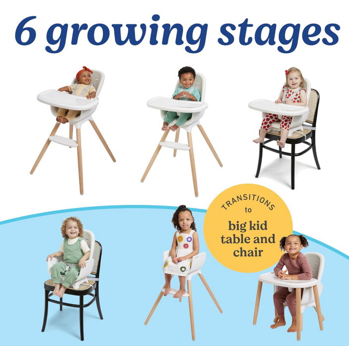 Shop Graco Table2Table LX 6-in-1 Highchair, Rhodes at GoodBuy Gear