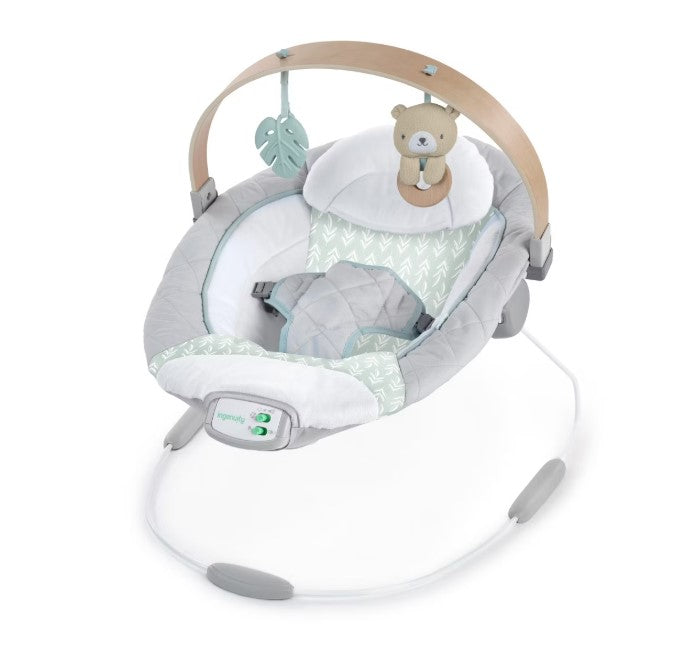 Ingenuity Cozy Spot Soothing Baby Bouncer, Nate