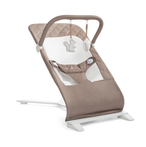 Shop Baby Delight Alpine Deluxe Portable Bouncer, Organic Mocha at GoodBuy Gear