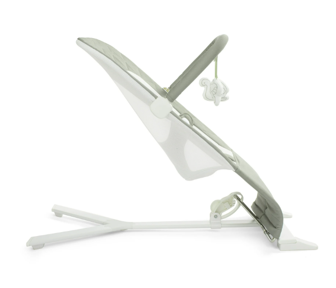 Baby Delight Alpine Deluxe Portable Bouncer, Organic Sage