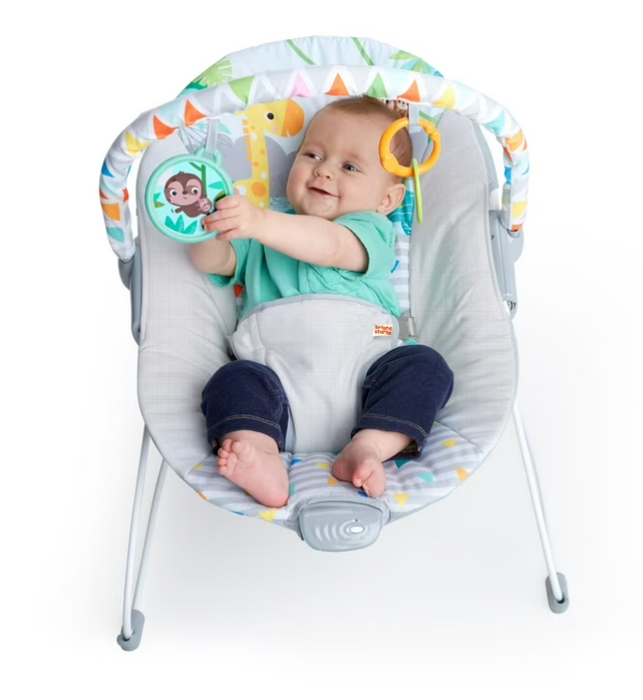 Bright Starts Vibrating Bouncer, Safari Fun
