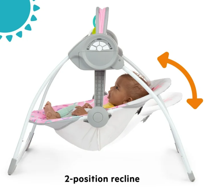 Bright Starts Portable Swing, Pink Paradise