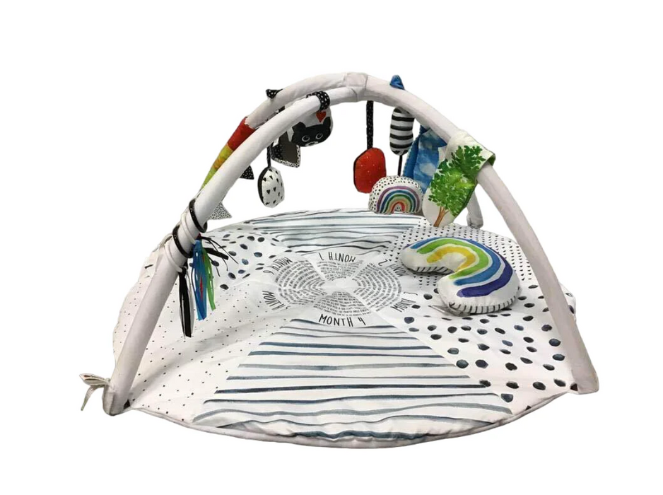 Sassy Tummy Time Reversible Milestone Activity Gym