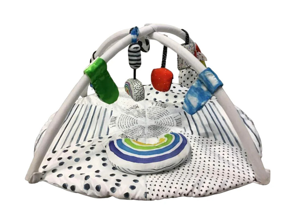 Sassy Tummy Time Reversible Milestone Activity Gym
