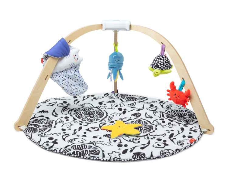 Melissa & Doug Ocean Easy-Fold Play Gym, Multicolor