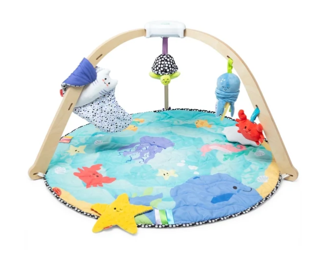 Melissa & Doug Ocean Easy-Fold Play Gym, Multicolor