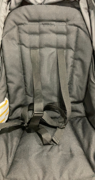 Graco Ready2Grow 2.0 Double Stroller, 2024, Rafa