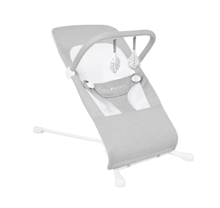 Shop Baby Delight Highland Bouncer, Pebble Grey at GoodBuy Gear