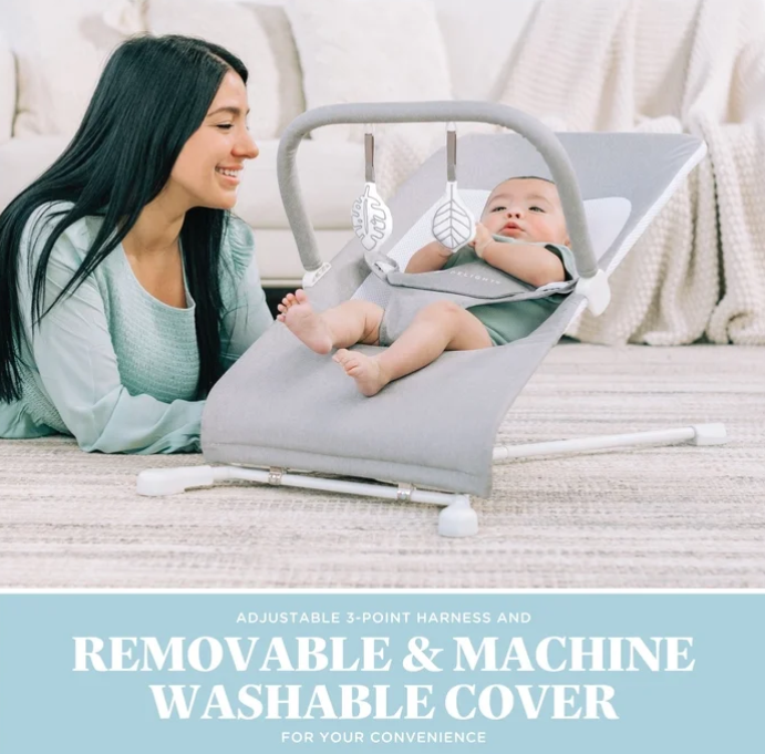 Shop Baby Delight Highland Bouncer, Pebble Grey at GoodBuy Gear