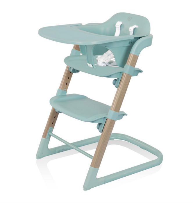 Evenflo RightSeat Multistage High Chair, Sage