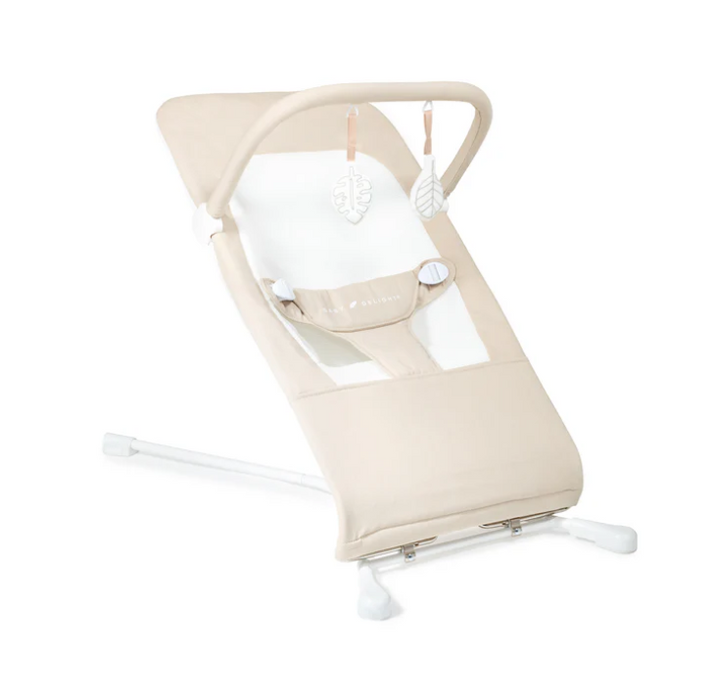 Baby Delight Highland Bouncer, Oat