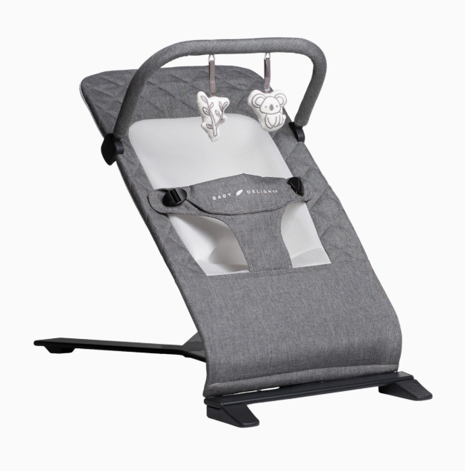 Baby Delight Alpine Deluxe Portable Bouncer, Charcoal Tweed