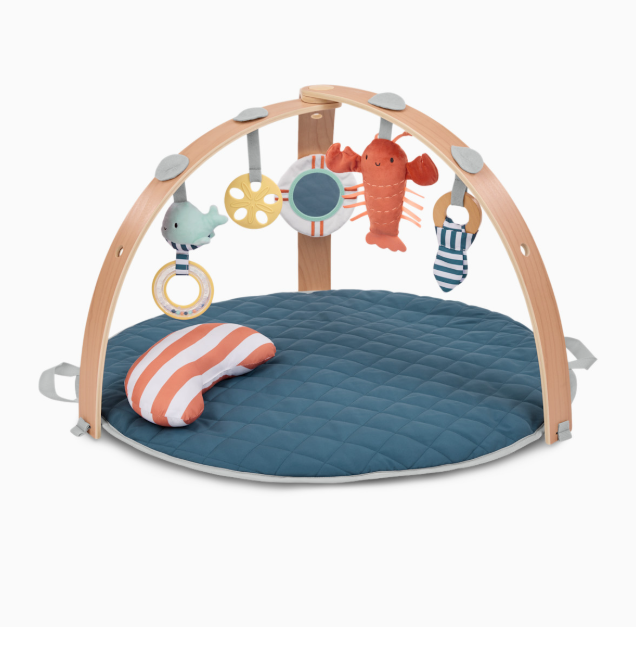 Ingenuity Cozy Spot Reversible Activity Gym, Harbor Haven