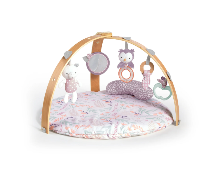 Shop Ingenuity Cozy Spot Reversible Activity Gym, Calla (Pink) at GoodBuy Gear