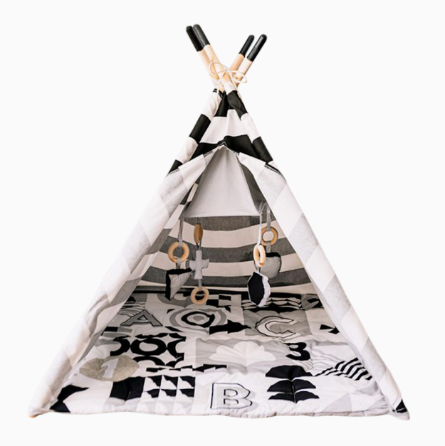 Wonder and Wise Baby Activity Tent, ABC Striped