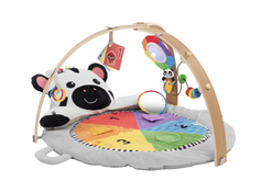 Shop Baby Einstein Activity Gym, Zen's Activity Milestones at GoodBuy Gear