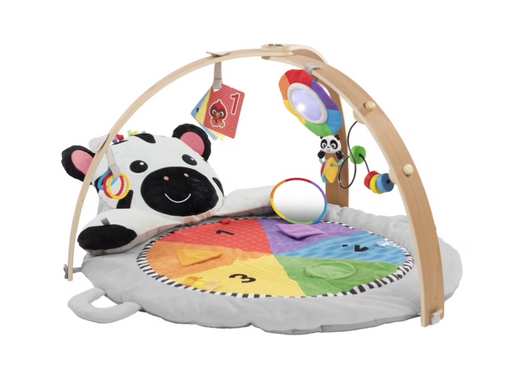 Shop Baby Einstein Activity Gym, Zen's Activity Milestones at GoodBuy Gear