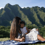 Shop Little Unicorn Outdoor Blanket, Navy Plaid at GoodBuy Gear