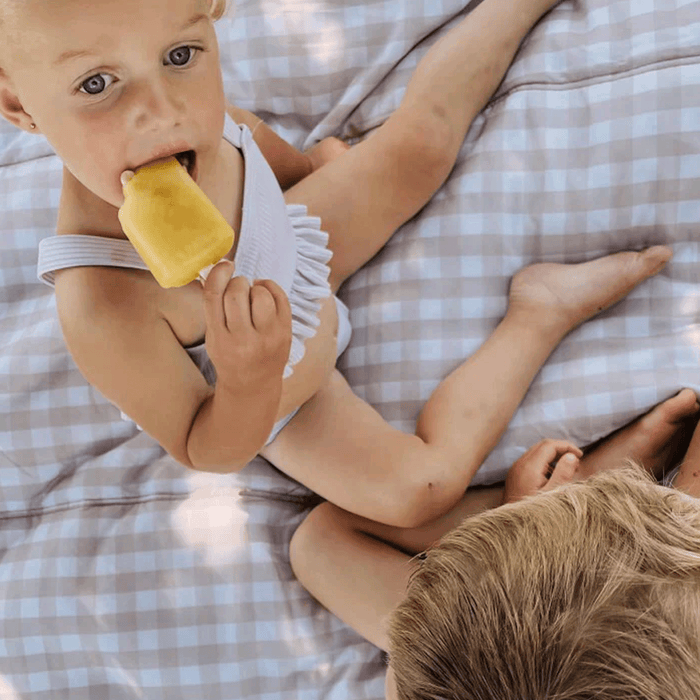 Shop Little Unicorn Outdoor Blanket, Beige Buffalo Check at GoodBuy Gear