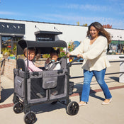 Shop Wonderfold WagonCarriage Fabric Replacement (No Shoulder Pads), W4 at GoodBuy Gear