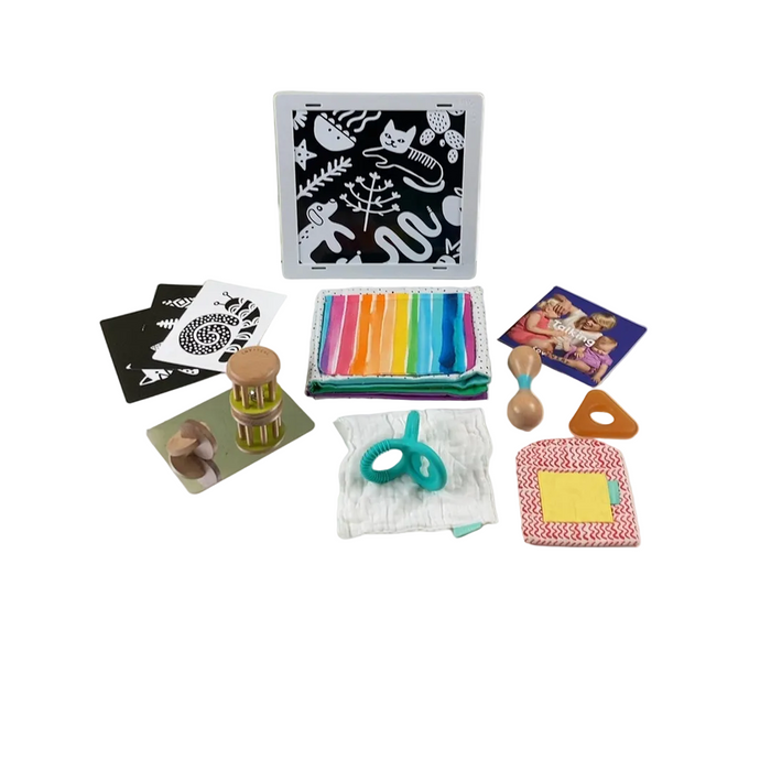 Shop Lovevery The Charmer Play Kit at GoodBuy Gear