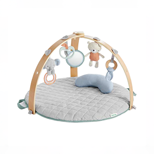 Shop Ingenuity Cozy Spot Reversible Activity Gym, Loamy at GoodBuy Gear