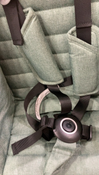 Shop Zoe The Twin V2 Double Stroller, Forest, 2024 at GoodBuy Gear