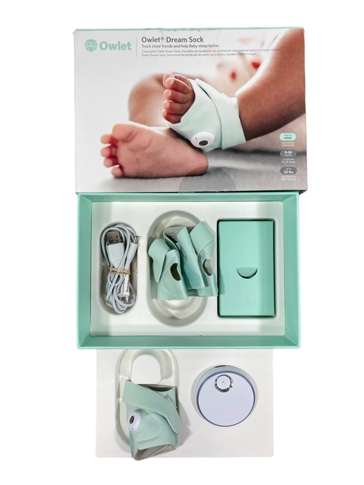 Shop Owlet Dream Sock, Mint at GoodBuy Gear