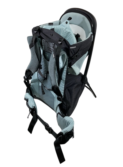 Shop Thule Sapling Child Carrier, Alaska Blue at GoodBuy Gear
