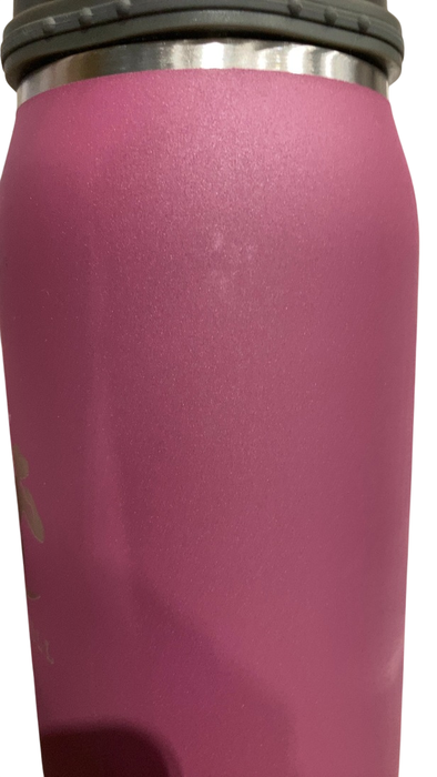 Shop Ceres Chill Legacy Breastmilk Chiller (32oz), Plum at GoodBuy Gear