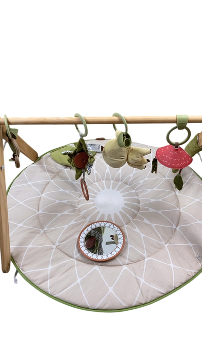 Shop Tiny Love Boho Chic Luxe Developmental Gymini at GoodBuy Gear