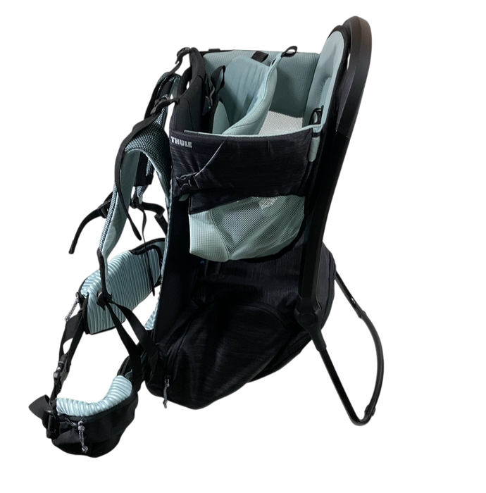 Shop Thule Sapling Child Carrier, Alaska Blue at GoodBuy Gear