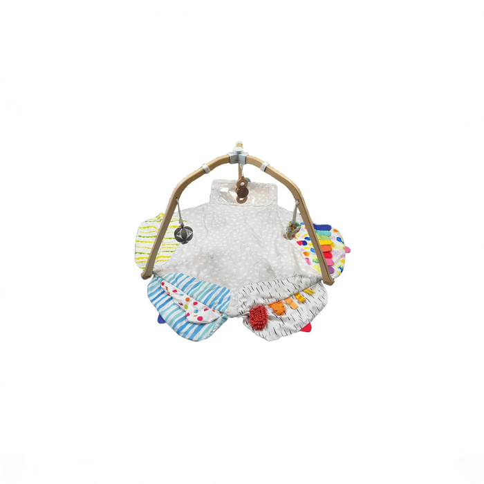 Shop Lovevery The Play Gym, Multi-Color at GoodBuy Gear