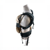 Shop Ergobaby Four Position 360 Baby Carrier, Black Camel at GoodBuy Gear