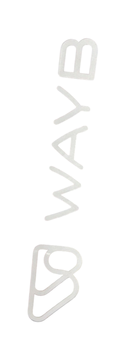 Shop WAYB Pico Portable Car Seat, 2021, Jet at GoodBuy Gear