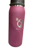 Shop Ceres Chill Legacy Breastmilk Chiller (32oz), Plum at GoodBuy Gear