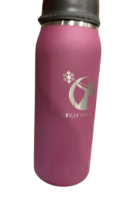 Shop Ceres Chill Legacy Breastmilk Chiller (32oz), Plum at GoodBuy Gear