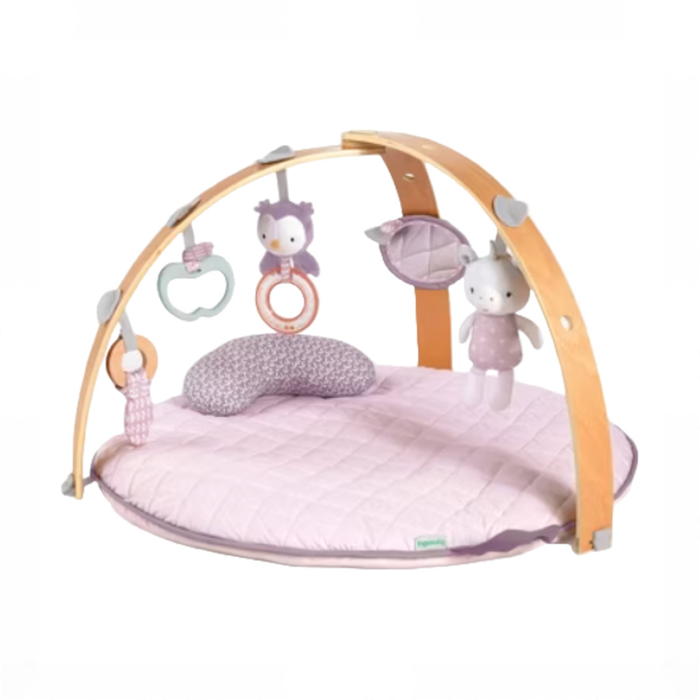 Shop Ingenuity Cozy Spot Reversible Activity Gym, Calla (Pink) at GoodBuy Gear