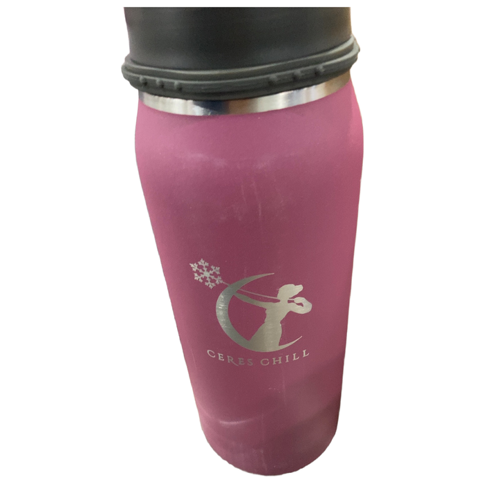 Shop Ceres Chill Legacy Breastmilk Chiller (32oz), Plum at GoodBuy Gear