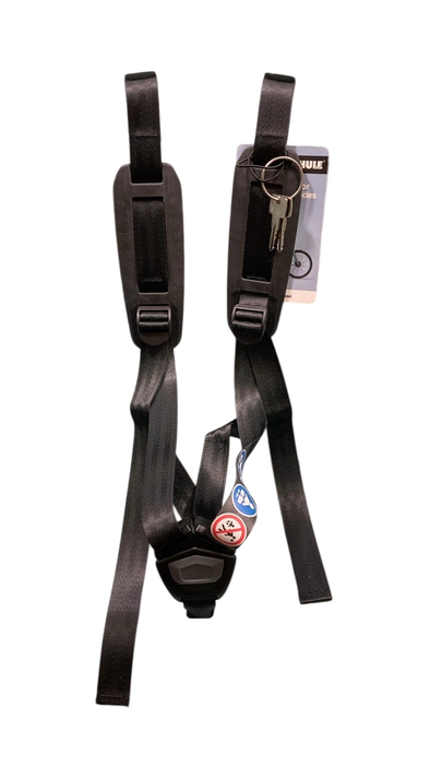 Shop Thule Yepp 2 Maxi, Alaska, Frame Mount at GoodBuy Gear