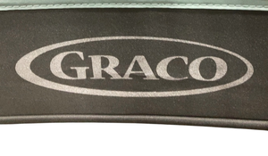 Shop Graco My View 4-in-1 Bassinet, Derby at GoodBuy Gear
