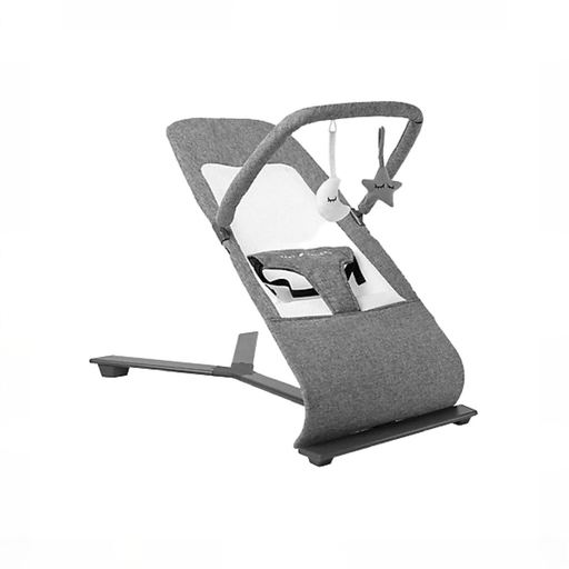 Shop Baby Delight Alpine Deluxe Portable Bouncer, Charcoal Tweed at GoodBuy Gear
