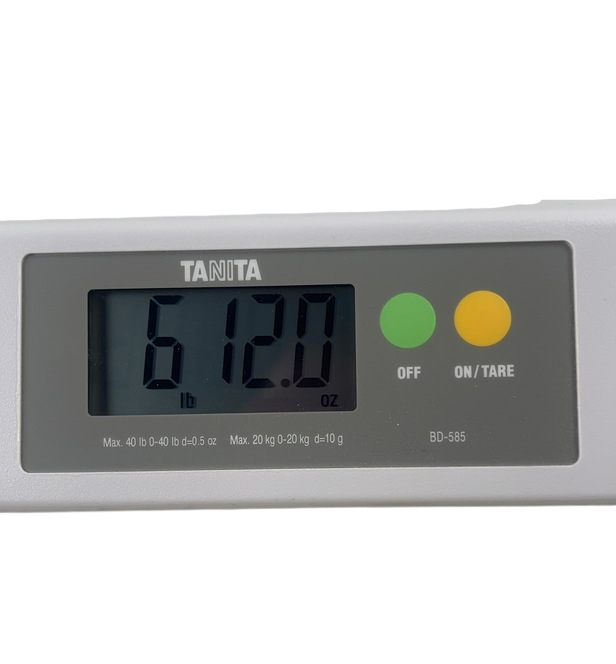 Shop Tanita Pediatric Scale, BD-585 at GoodBuy Gear