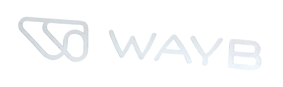 Shop WAYB Pico Portable Car Seat, 2023, Midnight Sky at GoodBuy Gear