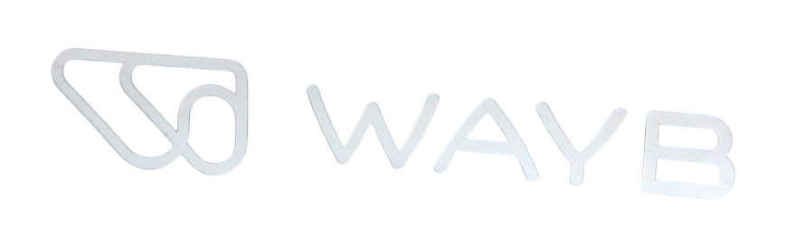 Shop WAYB Pico Portable Car Seat, 2023, Midnight Sky at GoodBuy Gear