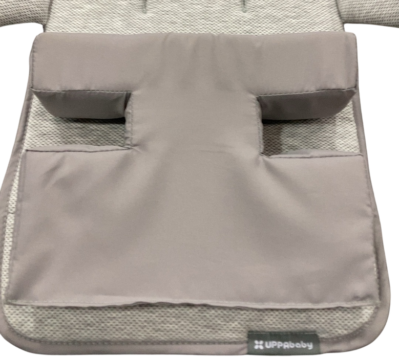 Shop UPPAbaby Infant SnugSeat, Grey at GoodBuy Gear