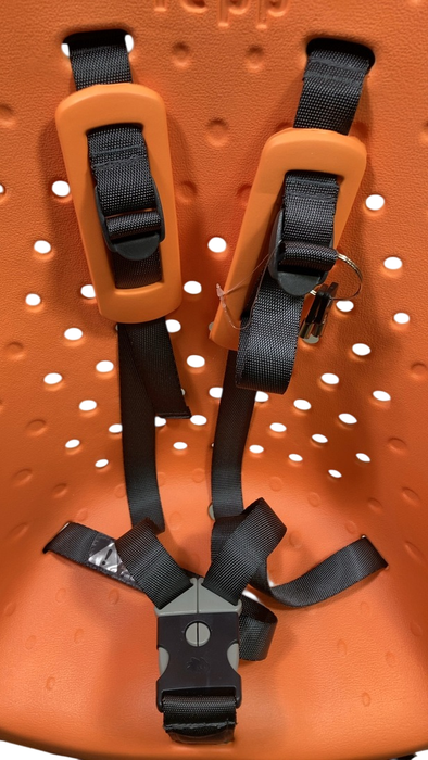 Shop Thule Yepp Maxi Child Bike Seat, Orange at GoodBuy Gear